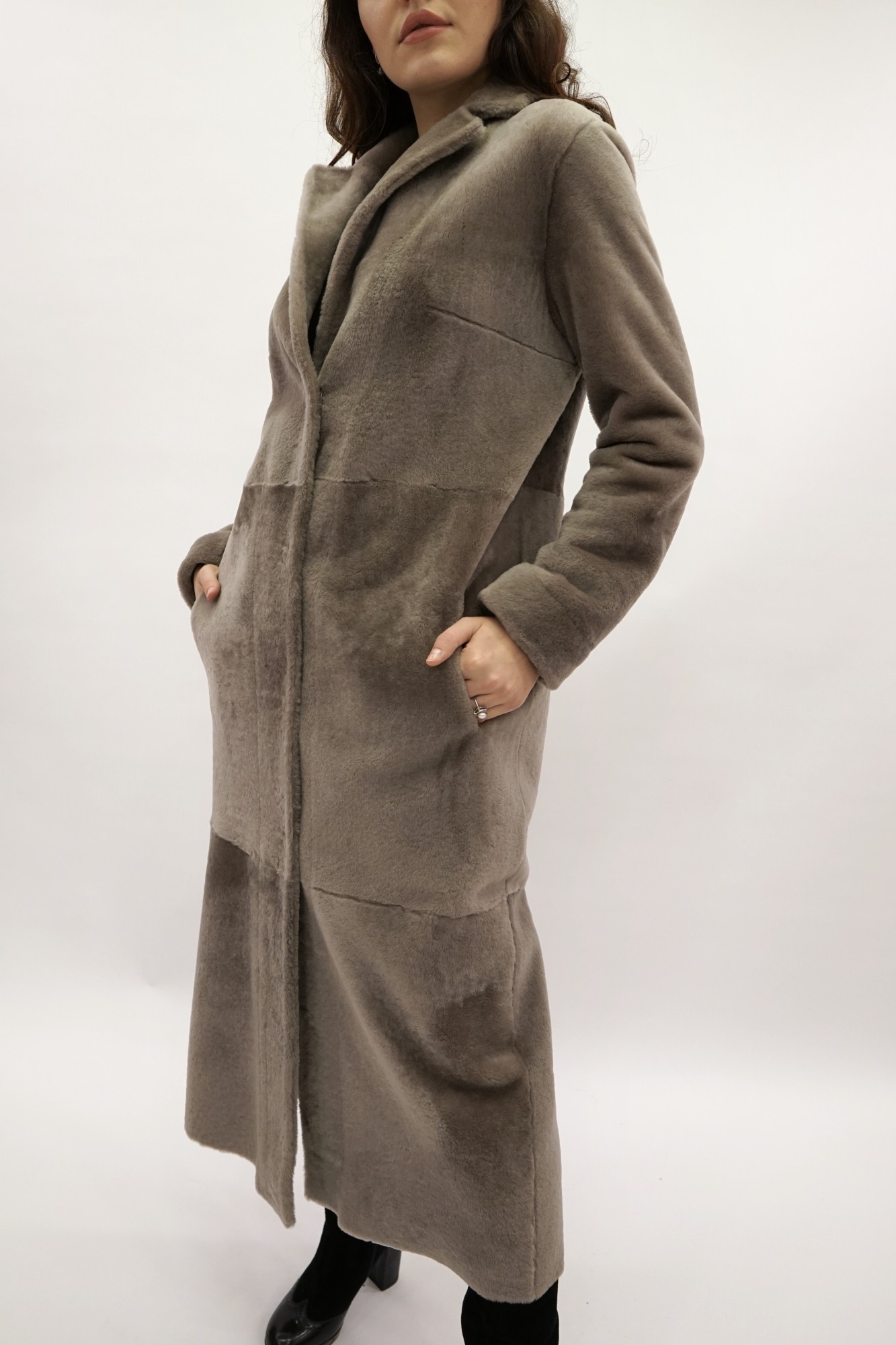 Испанский Меринос с покрытием, английский воротник