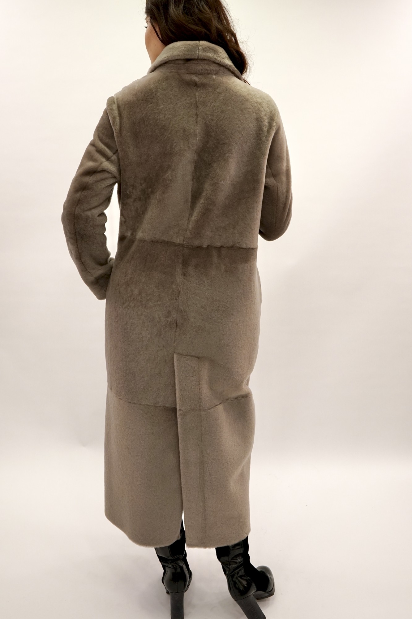 Испанский Меринос с покрытием, английский воротник