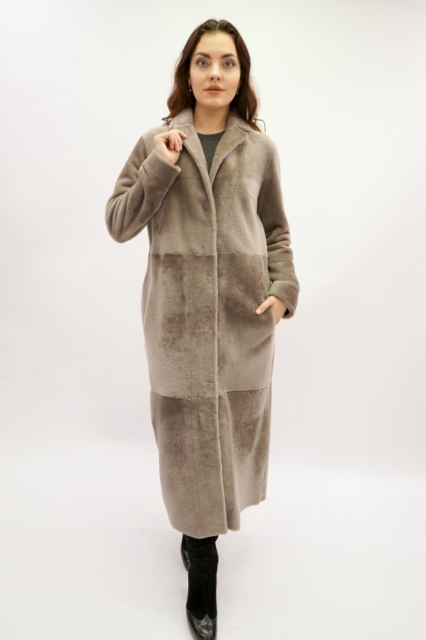 Spanish Mirinos coated, English collar